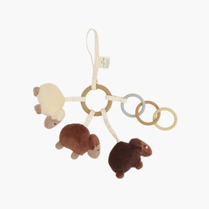 Activity and Teething Ring
